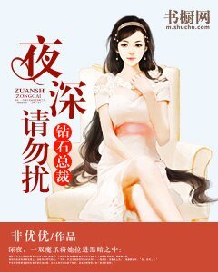 《钻石总裁:夜深请勿扰》