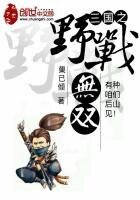 《三国之野战无双》