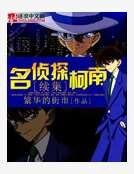 《名侦探柯南续集》
