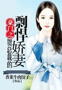 《豪门之贺总裁的剽悍娇妻》