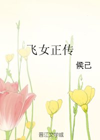 飞女正传