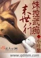 《妹控武痴末世行》