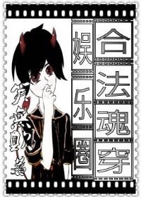 《娱乐圈:合法魂穿》