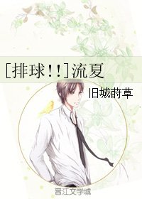 （排球少年同人）[排球!!]流夏