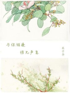 《(SD同人)与你相逢悄无声息》