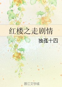 《(红楼同人)红楼之走剧情》