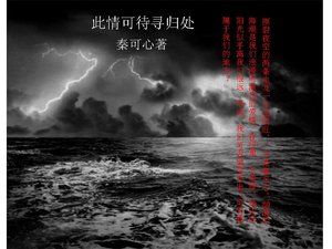 《此情可待寻归处》