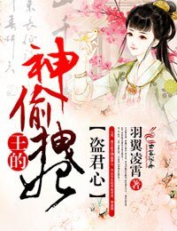《盗君心,王的神偷拽妃》