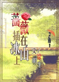 《(网王同人)蔷薇插在冰山上》