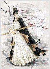 《(龙门飞甲同人)雨化田全攻略手册》
