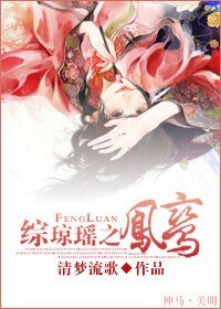 《(综琼瑶同人)综琼瑶之凤鸾》