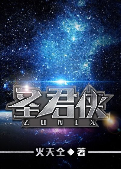 《圣君侠》