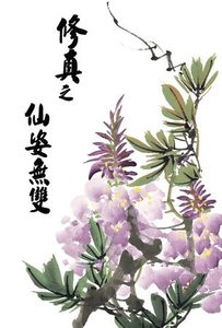 《修真之仙姿无双》