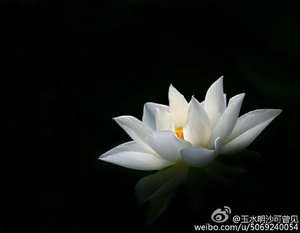 《渡我成佛》