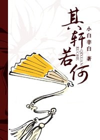《其轩若何》