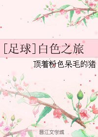 （足球同人）白色之旅