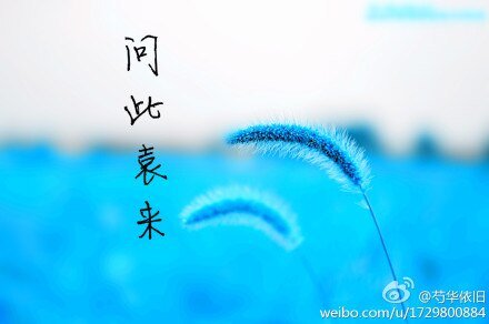 《(士兵突击同人)问此袁来》