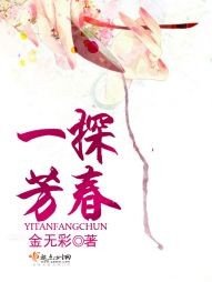 《(红楼同人)一探芳春》