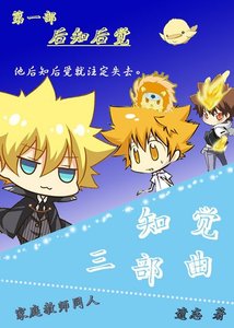 《(家教同人)知觉三部曲之后知后觉》