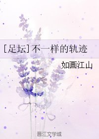 （足坛同人）[足坛]不一样的轨迹