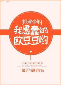 （排球少年同人）我愚蠢的欧豆豆哟