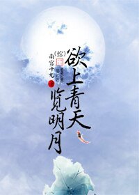 《(综同人)欲上青天览明月》