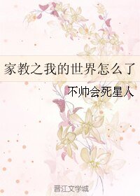 《(家教同人)家教之我的世界怎么了》
