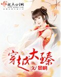 《穿越大臻》