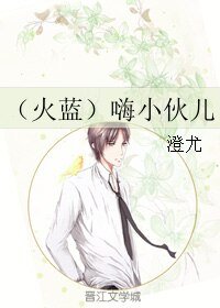 《(火蓝同人)(火蓝)嗨小伙儿》