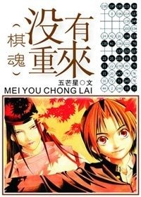 《(棋魂同人)没有重来》