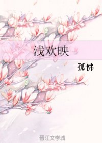 《浅欢映》