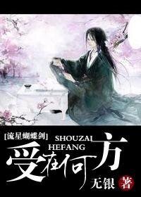《(流星蝴蝶剑同人)受在何方》