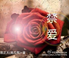 《(HP同人)HP禁爱》