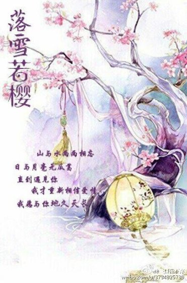 《落雪若樱》