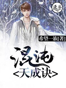 《混沌天成诀》