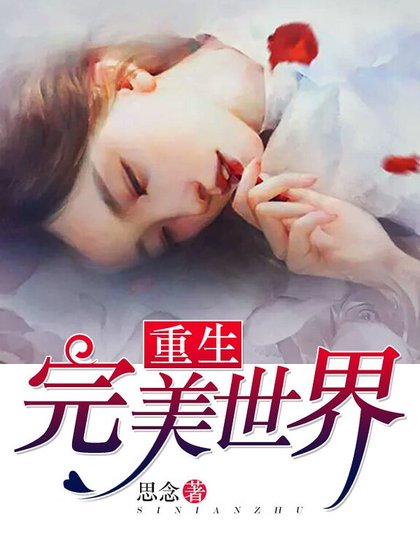 《重生完美世界》