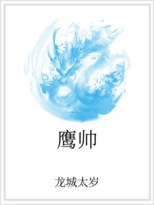 鹰帅