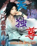 《天道独尊》