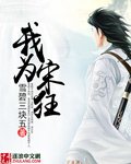 《我为宋狂》