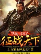 《铁血三国之征战天下》