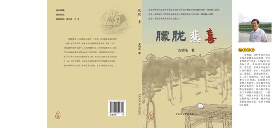 《朦胧悲喜(精)》