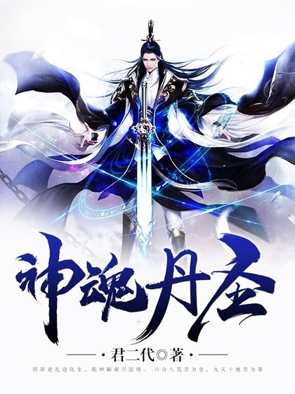 《神魂丹圣》