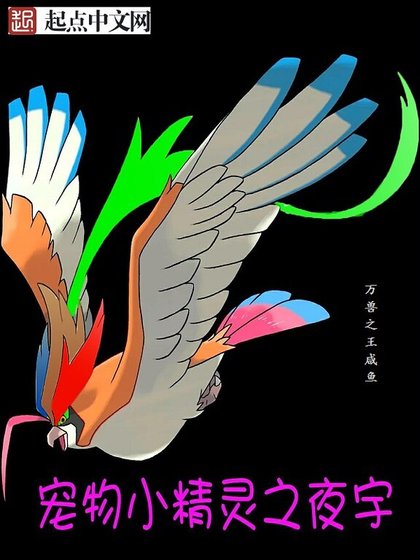 《宠物小精灵之夜宇》