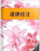 《道德经注》