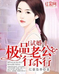 《试婚:极品老公行不行》
