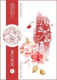 《后宫之凤栖苍梧》