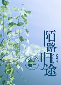 《陌路归途》