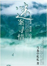 迷案寻情