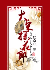 《大宋探花郎》