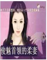俊魅首领的柔妻